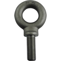 Alloy Steel Eye Bolt, 1-13/16"/3-9/16" Dia., 2-1/2" L, 11600 lbs. (5.8 tons)/11600 lbs. Capacity Advanced Consulting and Training Ltd.