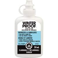 Lock De-Icer Advanced Consulting and Training Ltd.
