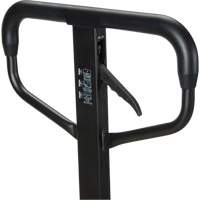 Transpalette manuel Quick-Lift, Acier, 48" lo x 20,5" la, Capacit&eacute; 5500 lb Advanced Consulting and Training Ltd.
