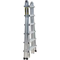 &eacute;chelle t&eacute;lescopique multifonction, Aluminium, 300 lb Advanced Consulting and Training Ltd.
