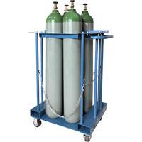 4-Cylinder Forklift Cylinder Storage Caddy Advanced Consulting and Training Ltd.
