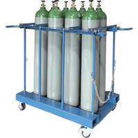 8-Cylinder Forklift Cylinder Storage Caddy Advanced Consulting and Training Ltd.