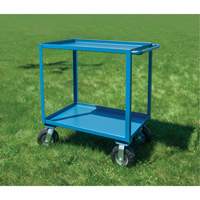 Outdoor Shelf Cart, 2 Tiers, 18" W x 39" H x 33" D, 1200 lbs. Capacity Advanced Consulting and Training Ltd.