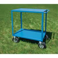 Outdoor Shelf Cart, 2 Tiers, 18" W x 39" H x 33" D, 1200 lbs. Capacity Advanced Consulting and Training Ltd.