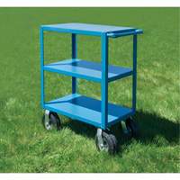 Outdoor Shelf Cart, 3 Tiers, 18" W x 39" H x 33" D, 1200 lbs. Capacity Advanced Consulting and Training Ltd.