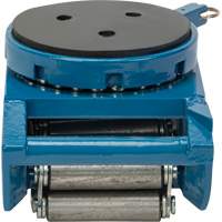 Machine Roller, 10 Tons Capacity Advanced Consulting and Training Ltd.