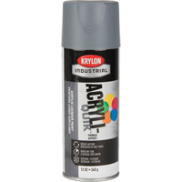 Laque industrielle Acryli-Quik, Gris, Tr&egrave;s mat, 12 oz, Canette a&eacute;rosol Advanced Consulting and Training Ltd.