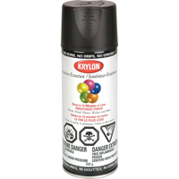 Laque industrielle Acryli-Quik, Noir, Semi-mat, 12 oz, Canette a&eacute;rosol Advanced Consulting and Training Ltd.