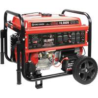 Tri-Fuel Generator with Electric Start Advanced Consulting and Training Ltd.