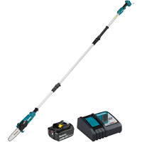 LXT Brushless 5' or 8' Pole Chainsaw Kit Advanced Consulting and Training Ltd.