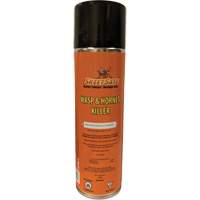 SkeetSafe&reg; Wasp & Hornet Spray, 350 g, Aerosol Can, Solvent Base Advanced Consulting and Training Ltd.