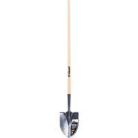 Pro Round Point Shovel, Tempered Steel Blade, Wood, Straight Handle Advanced Consulting and Training Ltd.