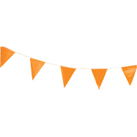 Pennants, 60' L, Orange Advanced Consulting and Training Ltd.