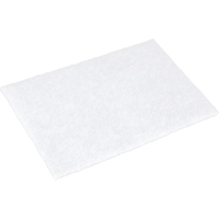 Tampons manuels Scotch-Brite, 9" lo x 6" la Advanced Consulting and Training Ltd.