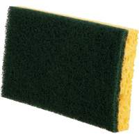 &eacute;ponges utilitaires, Cellulose, 6" la x 3-1/2" l Advanced Consulting and Training Ltd.