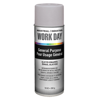 Industrial Work Day Paint, Grey, Very Flat, 10 oz., Aerosol Can Advanced Consulting and Training Ltd.