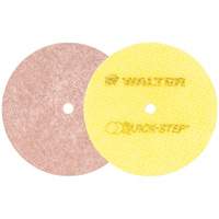 Disques de polissage instantan&eacute; Quick-Step, 5" dia. Advanced Consulting and Training Ltd.