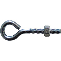 Eye Bolt, 3/8" Dia., 6" L, Zinc Plated Advanced Consulting and Training Ltd.