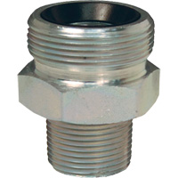 Ergot de joint rod&eacute; Boss, Fer, 2", NPT m&acirc;le Advanced Consulting and Training Ltd.