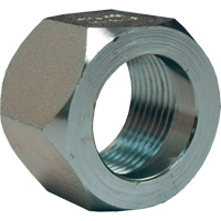 &eacute;crou hexagonal de minage Dixon, 1", Zingu&eacute;, Filetage NPT Advanced Consulting and Training Ltd.