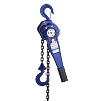 Lever Hoist with 3' Chain, 3' Lift, 500 lbs. (0.25 tons) Capacity Advanced Consulting and Training Ltd.