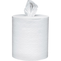 Scott&reg; Essential Paper Towels, 2 Ply, Centre Pull, 625' L Advanced Consulting and Training Ltd.