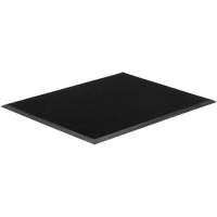 Gritstop Fingermat Matting, Rubber, Scraper Type, Textured Pattern, 2' x 2-2/3', Black Advanced Consulting and Training Ltd.