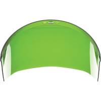 &eacute;cran facial, Polycarbonate, Teinte Vert Advanced Consulting and Training Ltd.