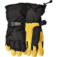 North of 49° Winter Gloves, Size Large Advanced Consulting and Training Ltd.