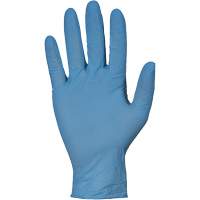KeepKleen&reg; RDNPF Disposable Gloves, Large, Nitrile, 4-mil, Powder-Free, Blue, Class 2 Advanced Consulting and Training Ltd.
