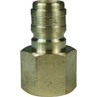 Bouchon d'interconnecteur &agrave; passage direct DQC de s&eacute;rie E, Laiton, 3/4", NPTF femelle, 1700 PSI Advanced Consulting and Training Ltd.