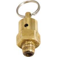 Viton&reg; Pressure Relief Valve Advanced Consulting and Training Ltd.