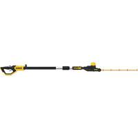 Ensemble taille-haie sur perche MAX*, 22", 20 V, &agrave; pile Advanced Consulting and Training Ltd.
