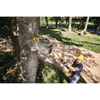 MAX* XR Cordless Polesaw Advanced Consulting and Training Ltd.