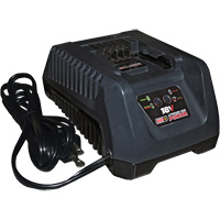 18 V Fast Lithium-Ion Battery Charger Advanced Consulting and Training Ltd.