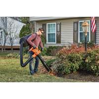 Souffleur/aspirateur/broyeur de feuilles 3-en-1 VacPack, Vitesse d'air 250 mi/h, &eacute;lectrique Advanced Consulting and Training Ltd.