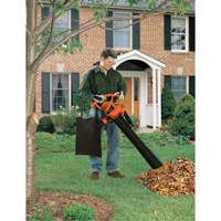 Souffleur/aspirateur/broyeur de feuilles, Vitesse d'air 210 mi/h, &eacute;lectrique Advanced Consulting and Training Ltd.