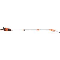 2-in-1 Pole Chainsaw Advanced Consulting and Training Ltd.