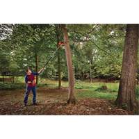 2-in-1 Pole Chainsaw Advanced Consulting and Training Ltd.