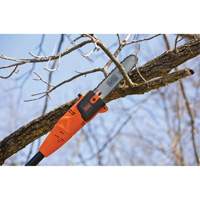 9-1/2' Pole Saw Advanced Consulting and Training Ltd.