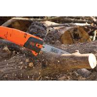 9-1/2' Pole Saw Advanced Consulting and Training Ltd.