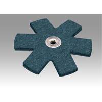 Scotch-Brite Sanding Star Advanced Consulting and Training Ltd.