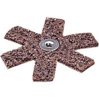 Scotch-Brite Sanding Star Advanced Consulting and Training Ltd.