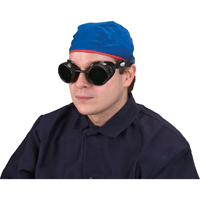 Cup Goggles, 5.0 Lens, Anti-Scratch, Closed Vent Advanced Consulting and Training Ltd.