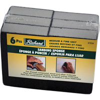 &eacute;ponge abrasive Advanced Consulting and Training Ltd.