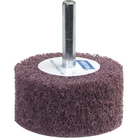 Bear-Tex Flap Wheel Advanced Consulting and Training Ltd.