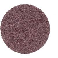 Disque de conditionnement de surface, 1" dia., Grain P100, Oxyde d'aluminium Advanced Consulting and Training Ltd.