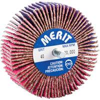 Threaded Mini Flap Wheel, Ceramic Alumina, 40 Grit, 3" x 1" x 1/4"-20 Advanced Consulting and Training Ltd.