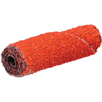 Rouleau de cartouche Blaze R920, 60 Grain, 3/8" dia., C&eacute;ramique d'alumine, 1-1/2" lo, 1/8" Dimension de l'arbre Advanced Consulting and Training Ltd.