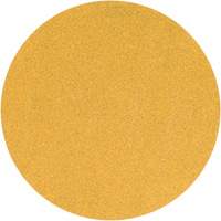 Yellow Hook & Loop Sanding Disc, 5" Dia., P220 Grit, Aluminum Oxide Advanced Consulting and Training Ltd.